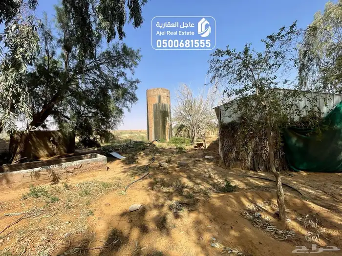 مزرعة للبيع في الهيلا شرق بقعاء بمنطقة حائل 21