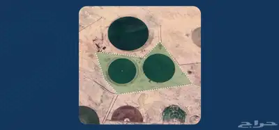 مزرعة للبيع في الشعلانية - حائل 0