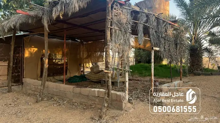مزرعة للبيع في الهيلا شرق بقعاء بمنطقة حائل 14