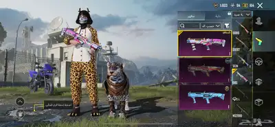 حساب ببجي للبيع 3