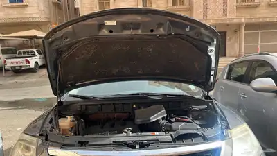 جدة الوزيرية 5