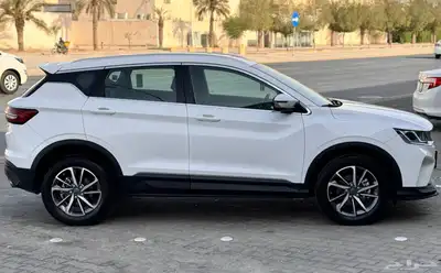 جيلي كولراي 2023 3