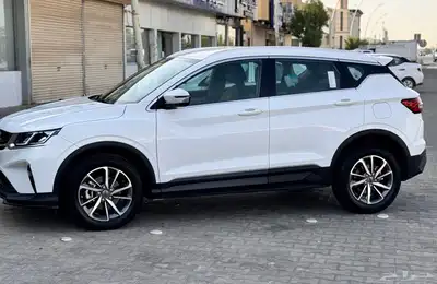 جيلي كولراي 2023 4