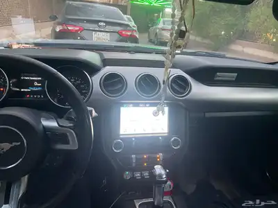موستنج 2018 1