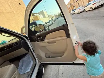 جمس دينالي2010 8