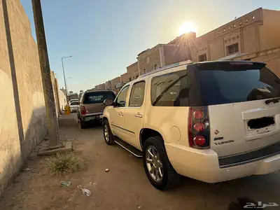 جمس دينالي2010 3