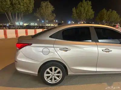 شانجان السفن 2025 2