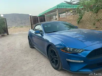 موستنج 2018 10