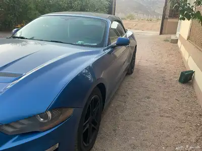موستنج 2018 6