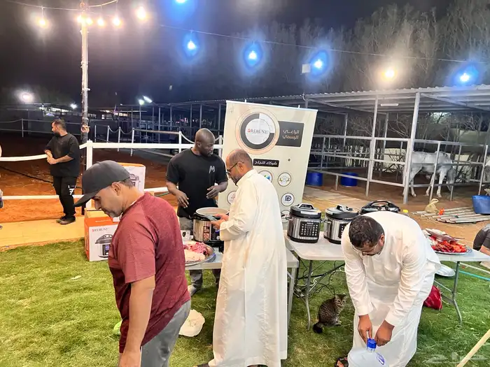 مربط شام الأصيل إيواء وتأجير وتدريب 6