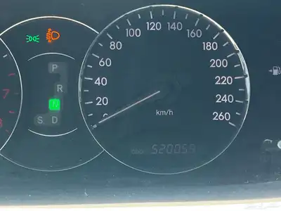 افلون 2009 سعودي 9