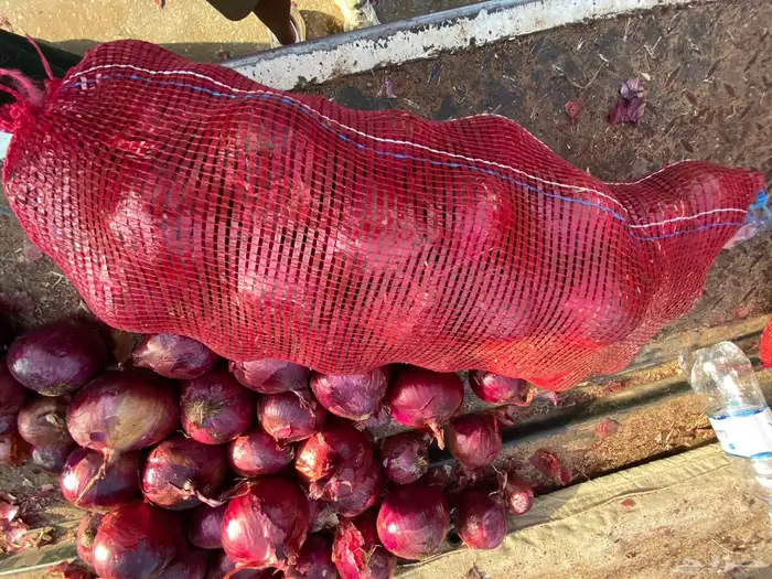 بطاطس وبصل 2