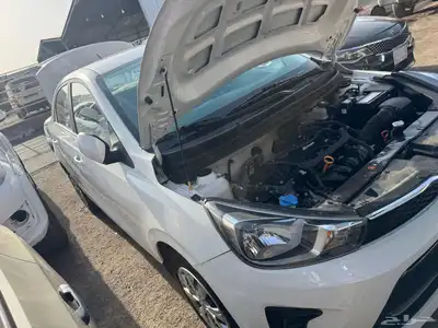 Kia pegas 2023 2