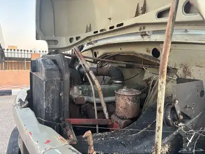 حصنيه موديل 70 جفالي شاصي متوسط 16