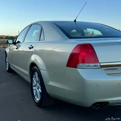 كابرس 2012 4