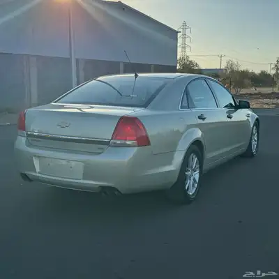 كابرس 2012 5