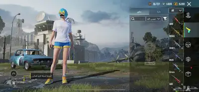للبيع 1