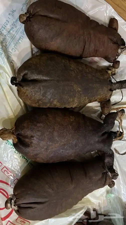 سعونه وعكاك 2