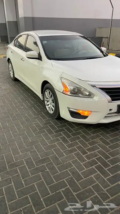 التيما 2013 4