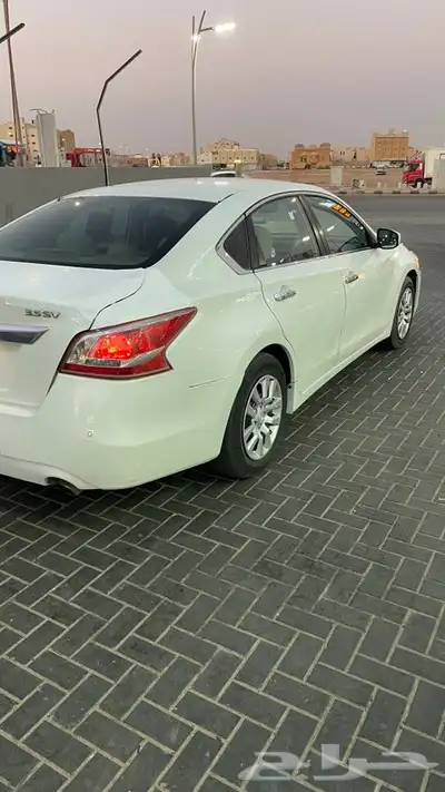 التيما 2013 2