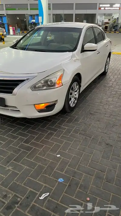 التيما 2013 5