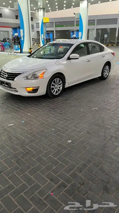 التيما 2013 1
