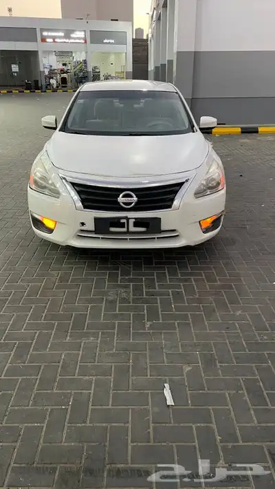 التيما 2013 0