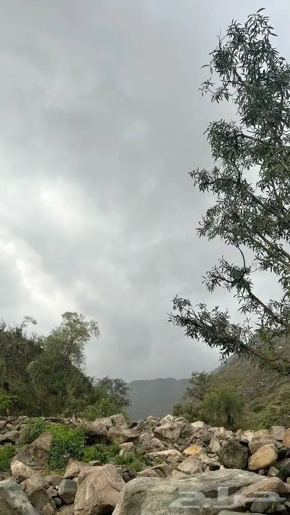 ماء مشروع للبيع 0