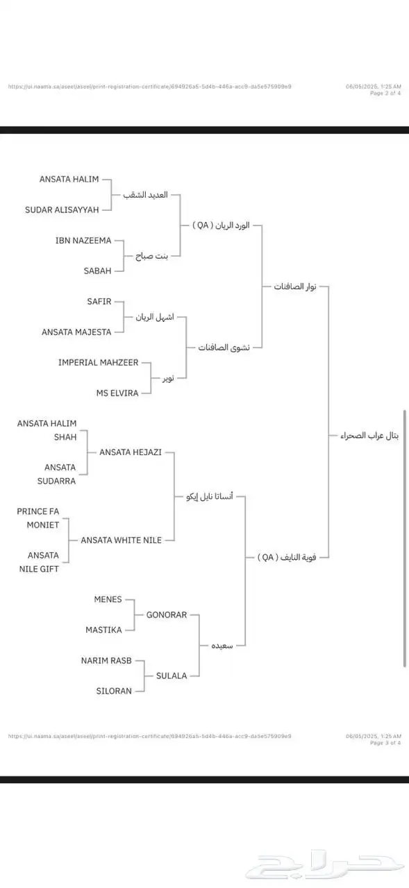 حصان واهو مكس رأس فاخر 0