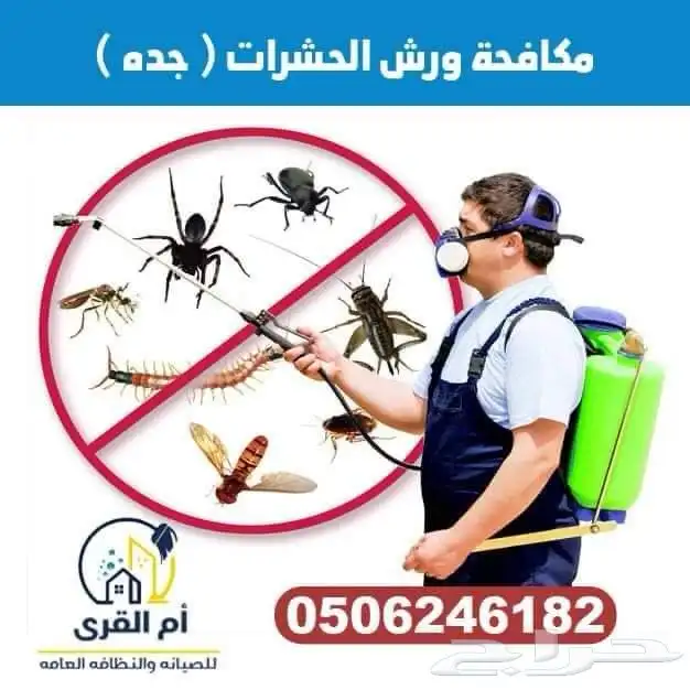 شركة رش حشرات بجده رش صراصير رش مبيدات 0