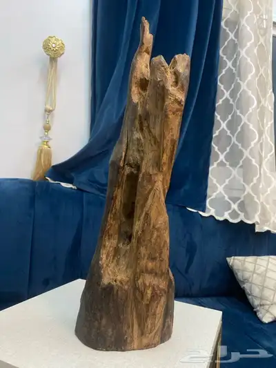 عوده طبيعي 1