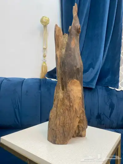عوده طبيعي 0