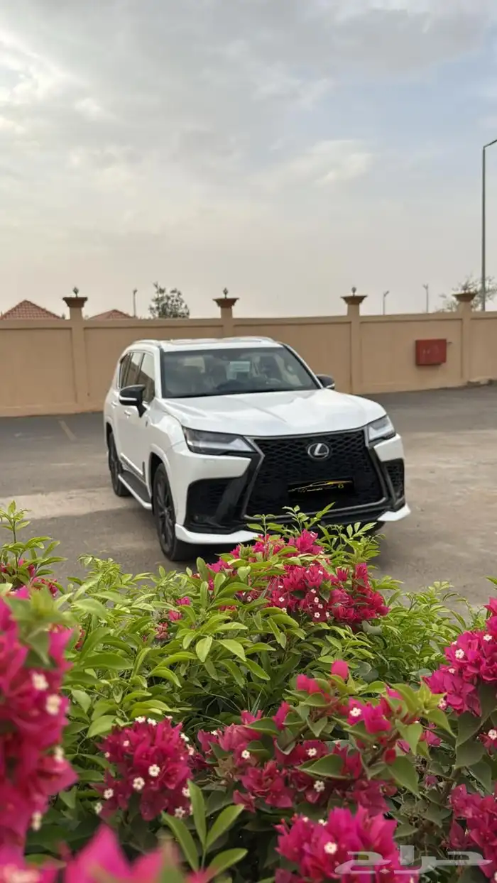 جيب لكزسBB LX600 2024 4