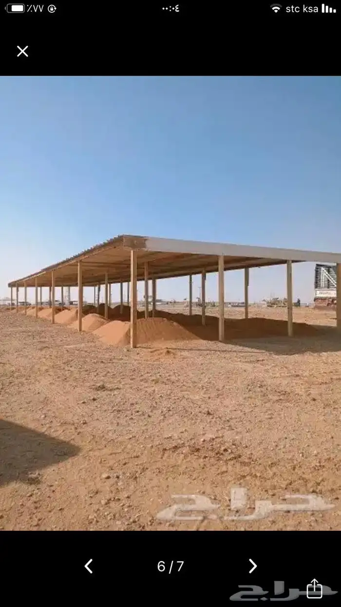 مضلات ابل مضلات خيول.  خيول مضلات ابل. 1