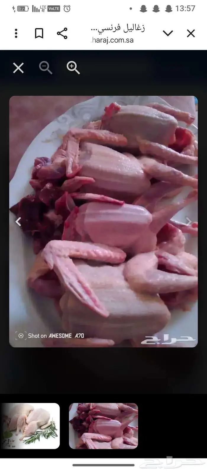 حمام فرنسي سوبر جامبو زغالين ذبح 1