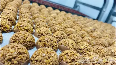 مصنع لتجھيز الشوكولاتة المميزة 13