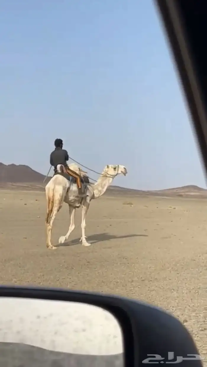 للبيع رحوال 0