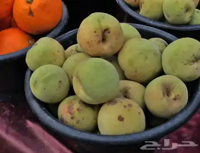 مدخل الرصاص مع الكوبري 0