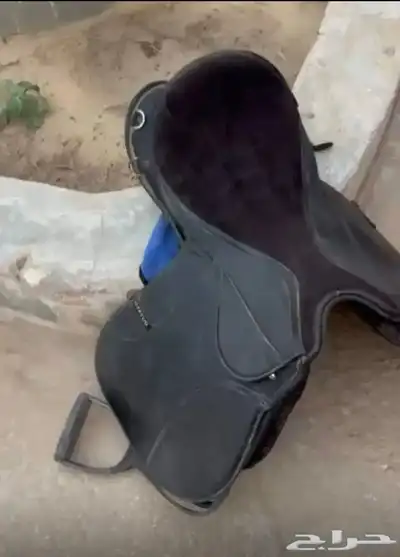 سرج ستيس 0