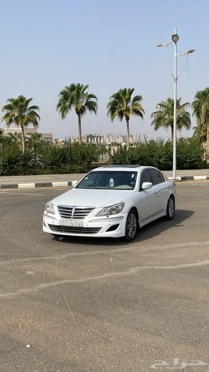 الطائف 8