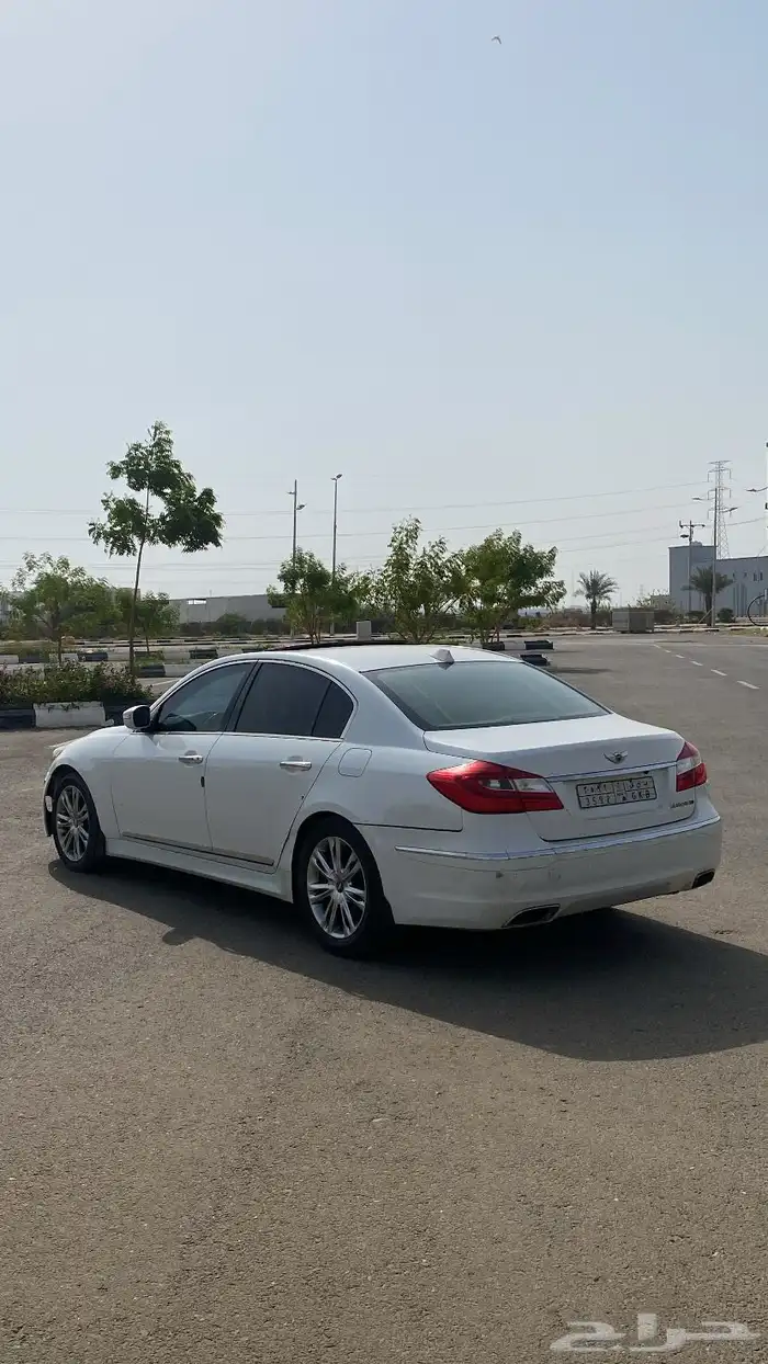 الطائف 7