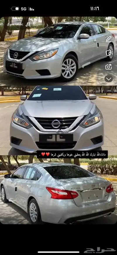 التيما 0