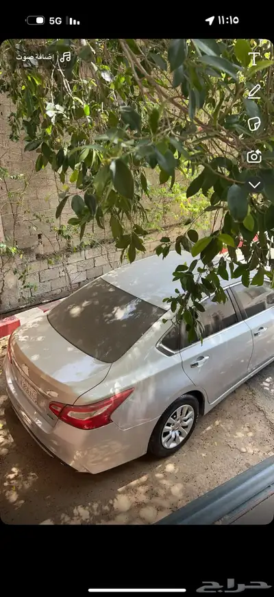 التيما 2