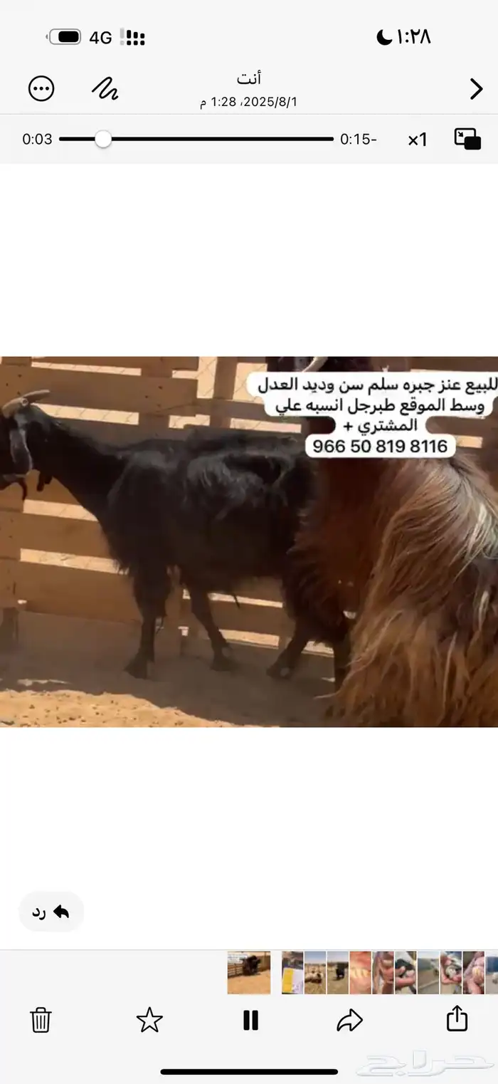 معزا 0