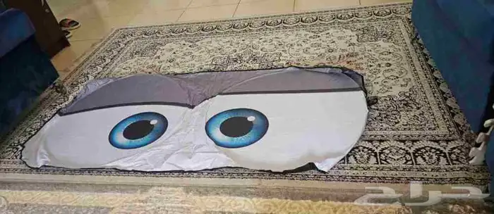 شماسات سيارة 5