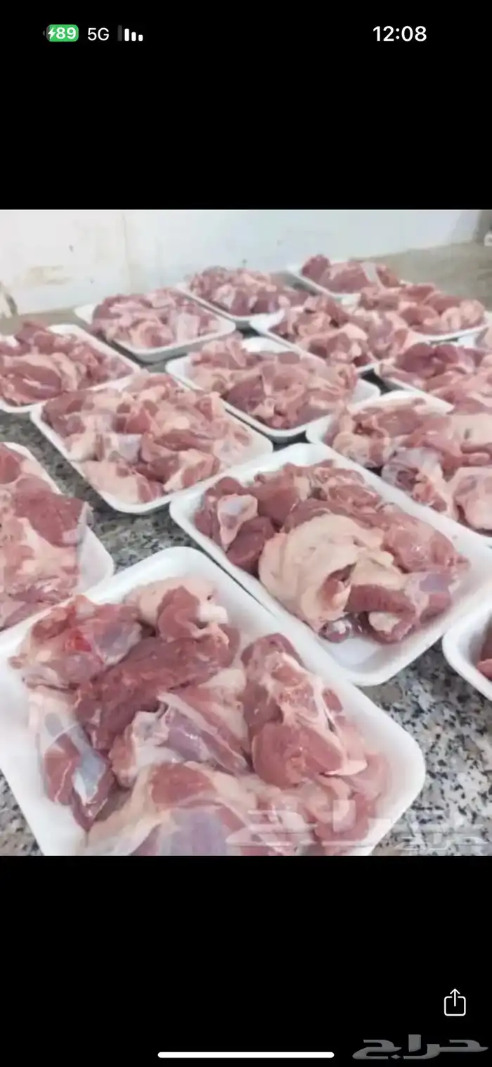للبيع ذبايح طليان مفطح حات عقايق صدقات ثلاجه مع السلخ وتغليف 4