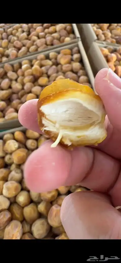 رطب تمر روثانة نجد 2