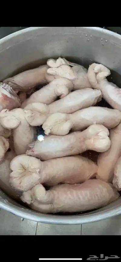 ذبايح بريه حري نعيمي نجدي تيوس وجفاريوجدخدمه الذبح والتوصيل 4
