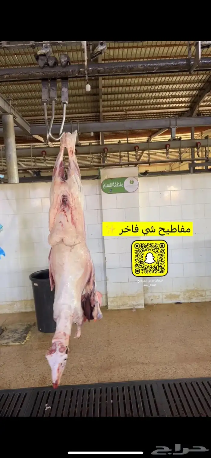 ذبايح عرعر بريات 10