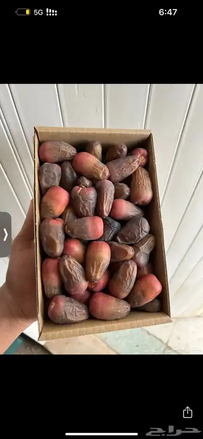 تمار ونانة 0